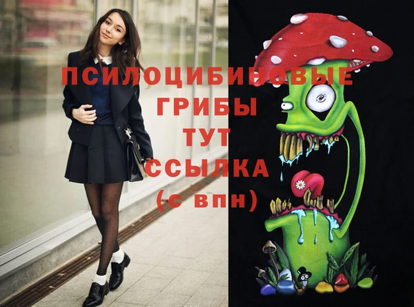 винт Армянск