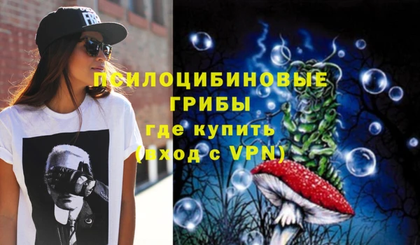 винт Армянск