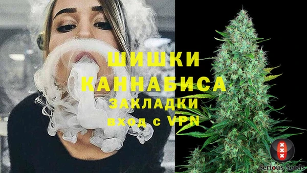 apvp Арсеньев